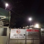 NPO犬猫みなしご救援隊・代表ブログ・みなしご庵へようこそ