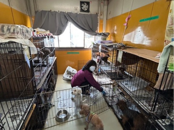 今日のシェルター通信