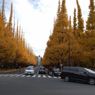 フランチャイズ地獄からの脱出  藤原義塾からの報告書