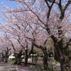 ひなた＆みなと日記