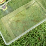 イノウエナオトの店長・室長・マネージャーblog