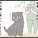 ネコ飼いの飼いネコまんが ねこボイ