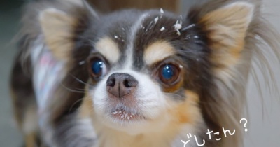 がんばれ！まりちゃん