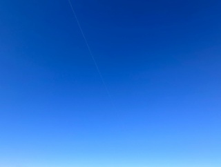 🐜謹賀新年🐜