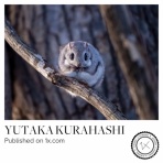 ふうふう宮古島