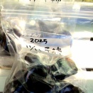 いずみさん＆jijiから