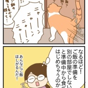 甥っ子猫に会ってきた②
