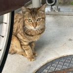名古屋 主の栄光教会 いずみの聖書ことばblog