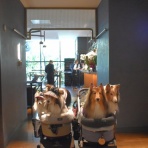 メロディ＆ミニーの写真館