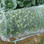 毎日が日曜　晴耕雨読な日々