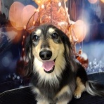 ズーズーカンパニー スタッフブログ