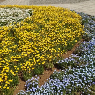 みじゅぶろぐ☆或いは其処に居た記録。