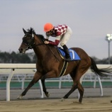 『“ホッカイドウ競馬卒業生”JRAの舞台でも活躍なるか！』の画像