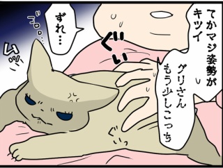 夜中、猫と寝た結果こうなった話