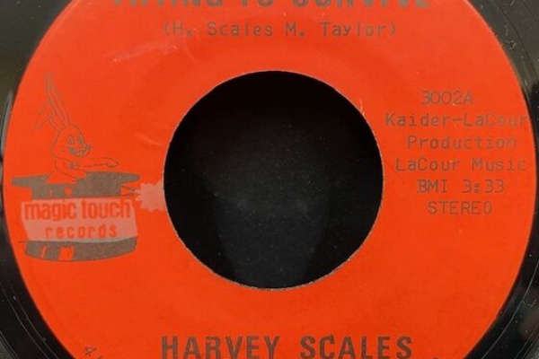 ディスクユニオン お茶の水ソウル/レアグルーヴ館 - 廃盤セール