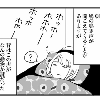 目覚めの声