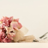 『息子夫婦はあてにならない』の画像