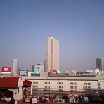 日々の気づき