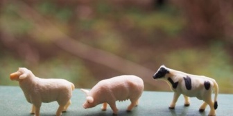 ヲタ色の濃い家なので、マイホームを建てたことはあまり人に話してなかった。→でもさすがに住所も電話番号も変わるから実家に黙ってるわけにもいかなくて話したら…