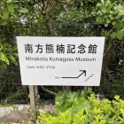 『和歌山県の偉人⭐️博物学者・南方熊楠（みなかたくまずす）を学べる資料館。 『南方熊楠記念館』（和歌山県田辺市） 』の画像