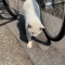 自転車大好き…