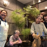 『緑の宝石🌿✨彡』の画像