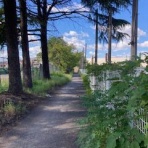 大阪の歴女と歴犬