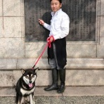 ちょいとそこログ