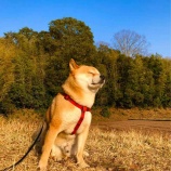 『春の空気、すき〜(^^)』の画像