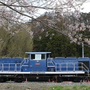 ５月になりました・・・・・・・・・・・・っが