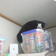 ウランが好きだったものをお供えしました