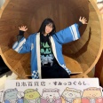 ���������ơ��ޡ���������罸�������������������٥�ȡ����饤���ؤΤ��߲Ȥΰ�²Z��2026ǯ5��2��(��)13:00��14:00������WALLOP����������F
