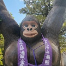 知立の遍照院にゴリラ？