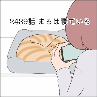 あんこと麦と