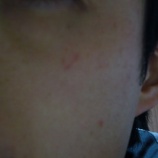 آ2009/1/29ڡī뿲ƤˡĤ줿νˡƱܤФŻ桢Ĥˤߤ줷ߤͿ줿٤β