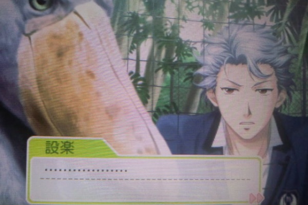 フェンス越しの虹 三原色