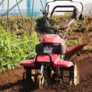 定植に種まきと・・・春全開です