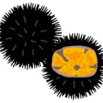 何故初見で食おうと思ったのか理解に苦しむ食べ物