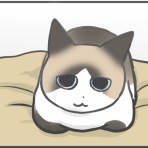 おそらくその平凡こそ幸せ　猫と私と家族の日常