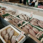 シーバス電脳日誌 ロードバイクでサイクリングも