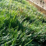 いつも居留守の　在氣呂（imasu_kero）のblog