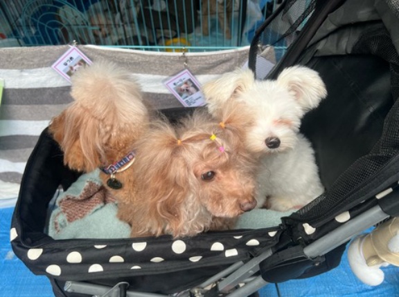 赤坂サカスパート2️⃣です👌