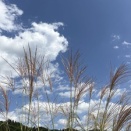10月です・・・(^^)v