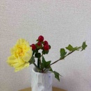 もう一度デイケアと電話で話しました。