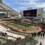 馬主目線の競馬予想