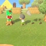 【悲報】『あつまれ どうぶつの森』で虫を捕まえようとする ⇒ 悲しすぎる結末にいいねが殺到ｗｗｗｗ