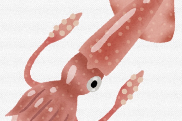 アクアンテナ 19年01月