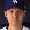 「大谷翔平」以外の大谷姓の有名人っていないよな