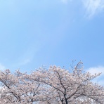 ミニマムな暮らし 1LDK