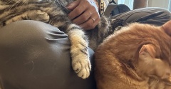 猫も人間も、そろそろ冬支度。今だけのゴールデンシーズン到来？ 